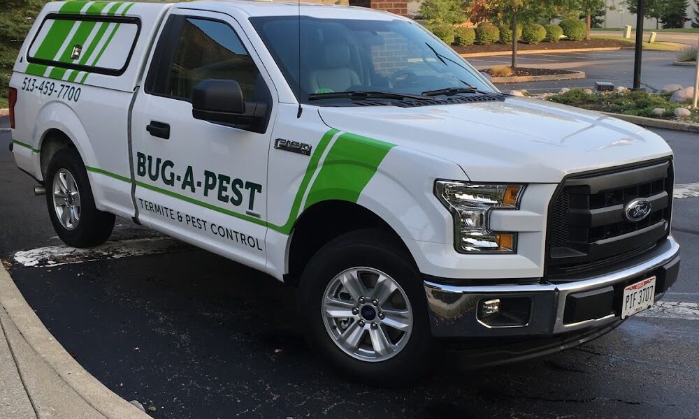 Bug-A-Pest