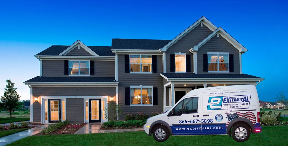 Extermital Termite & Pest Control