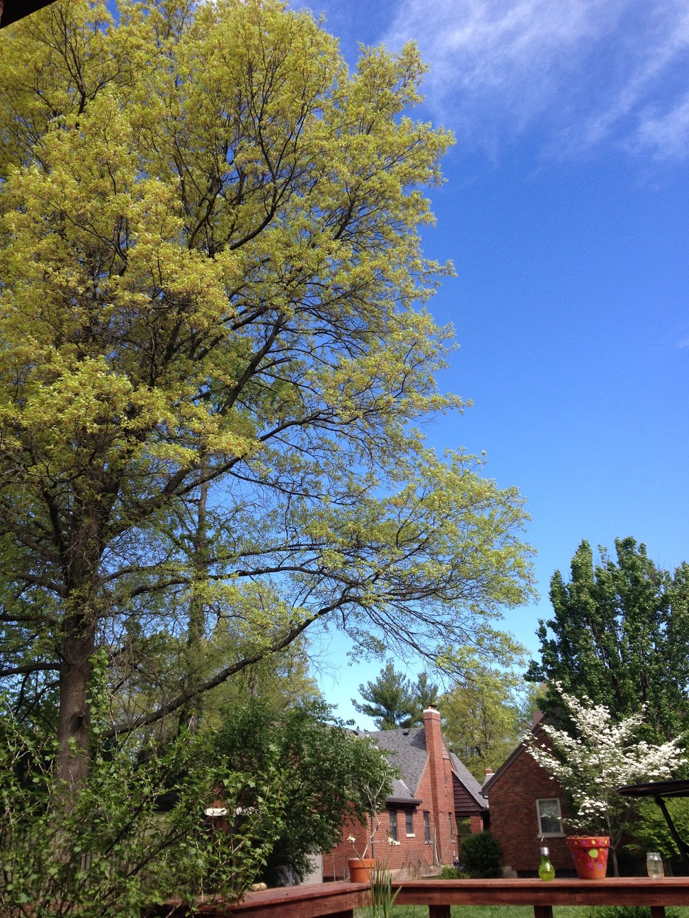 Tate & Tate Attorneys LLC